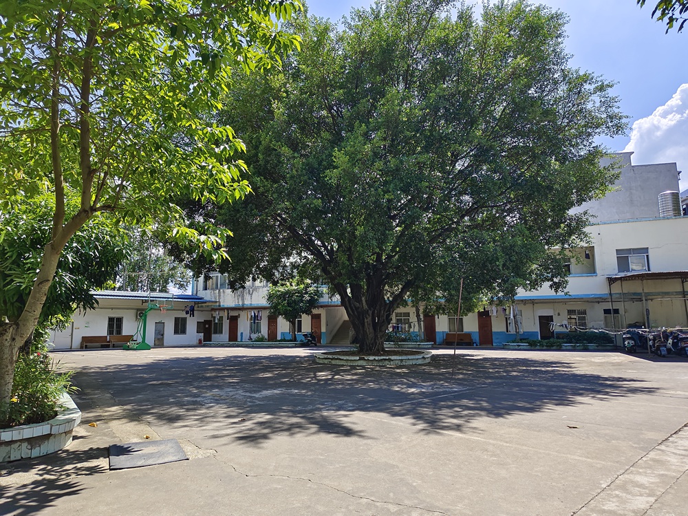 后院环境